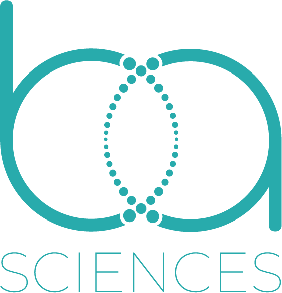 https://www.straightnorth.com/wp-content/uploads/2025/03/BA_Final-Logo-2024-02-2.png